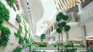 Changi, en Singapur, nuevamente el mejor aeropuerto del mundo en 2025